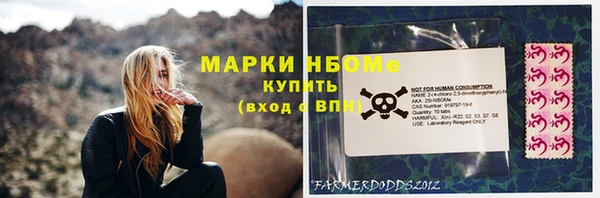 стаф Алексин