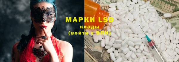 стаф Алексин