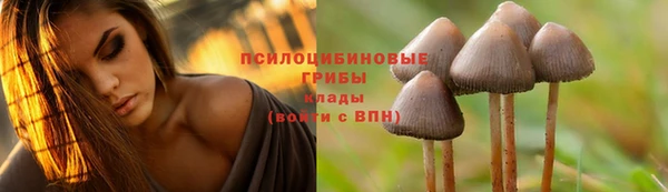 стаф Алексин