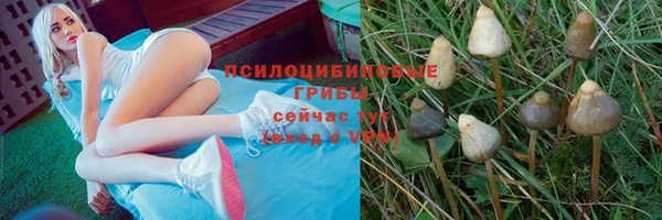 стаф Алексин