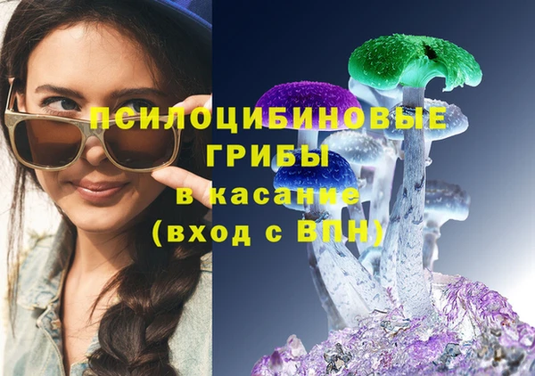 стаф Алексин