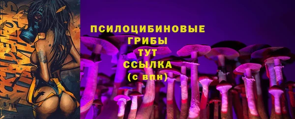 spice Арсеньев