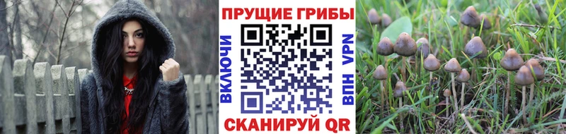 Псилоцибиновые грибы MAGIC MUSHROOMS  Макушино 